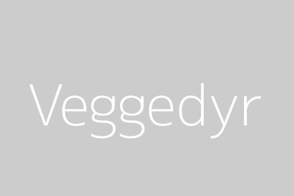 Veggedyr